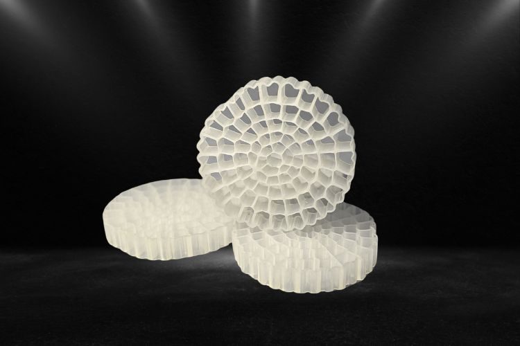 Untitled design (13)